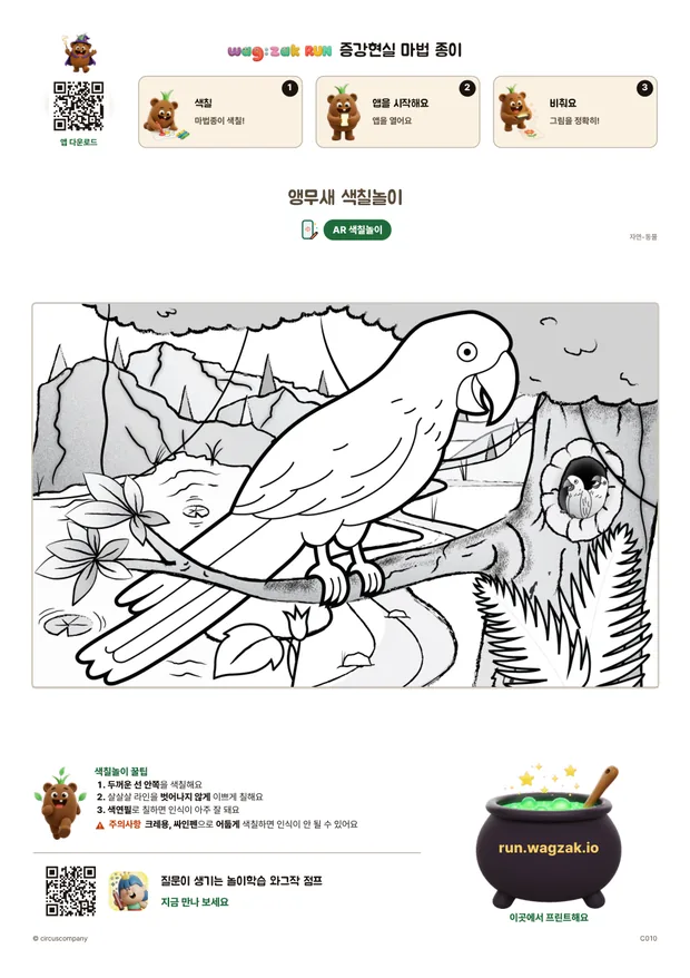 앵무새 색칠놀이