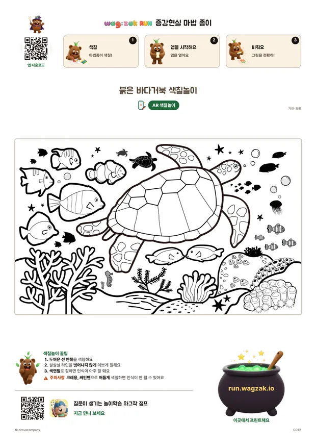 붉은 바다거북 색칠놀이