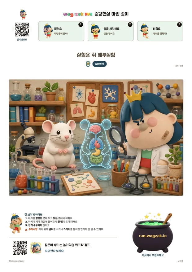 실험용 쥐 해부실험