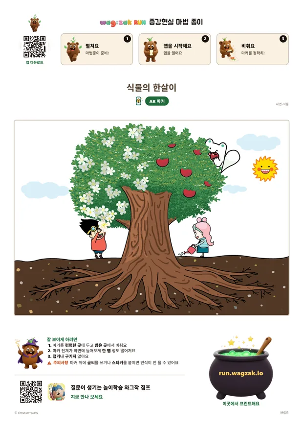 식물의 한살이